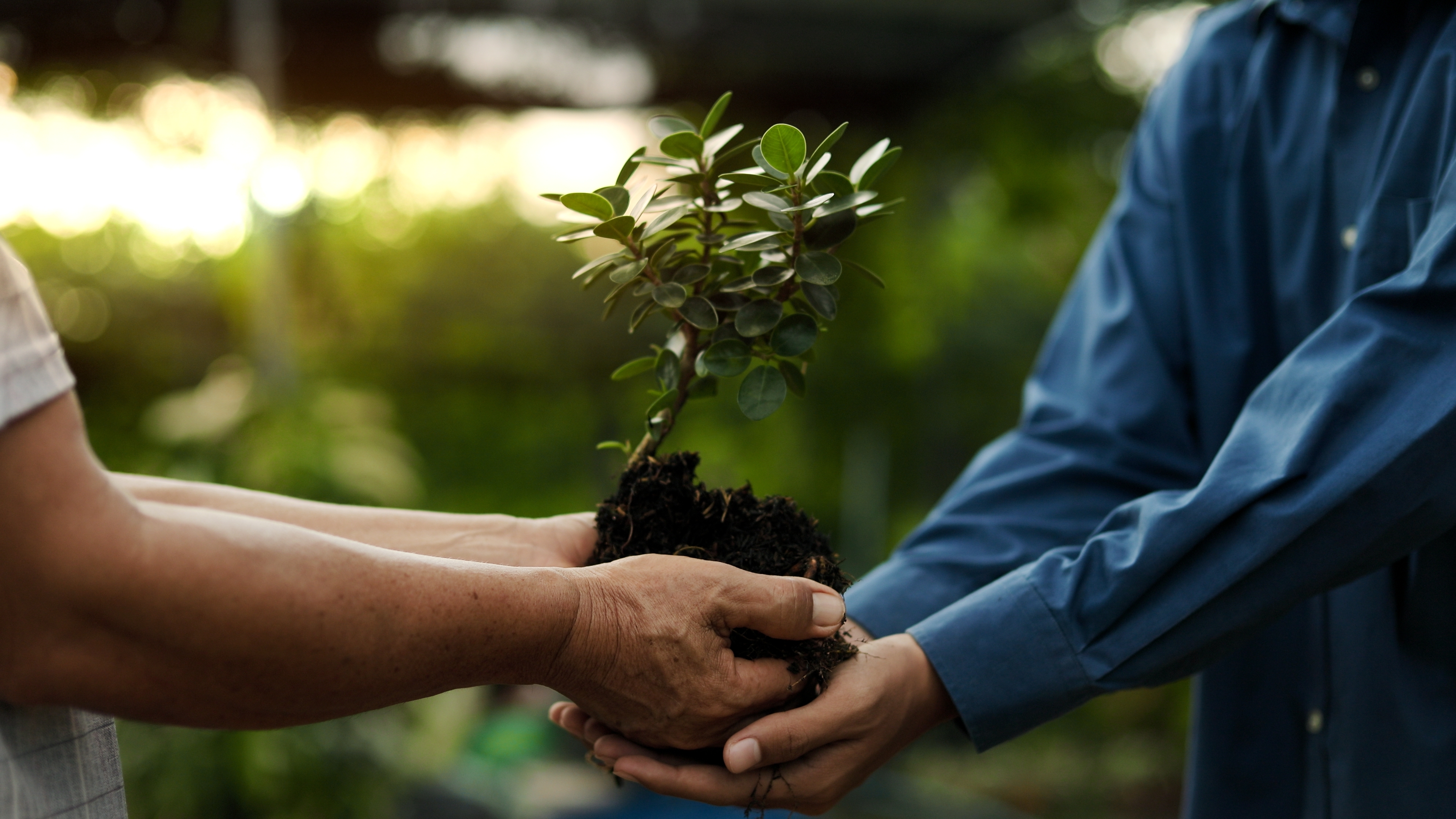 Donor-Advised Funds: A Smarter Way to Give Back (Year-End Planning Series, Part 1)