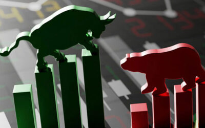 Was July Just a Dead Cat Bounce in a Bear Market or the Start of a New Bull Run?